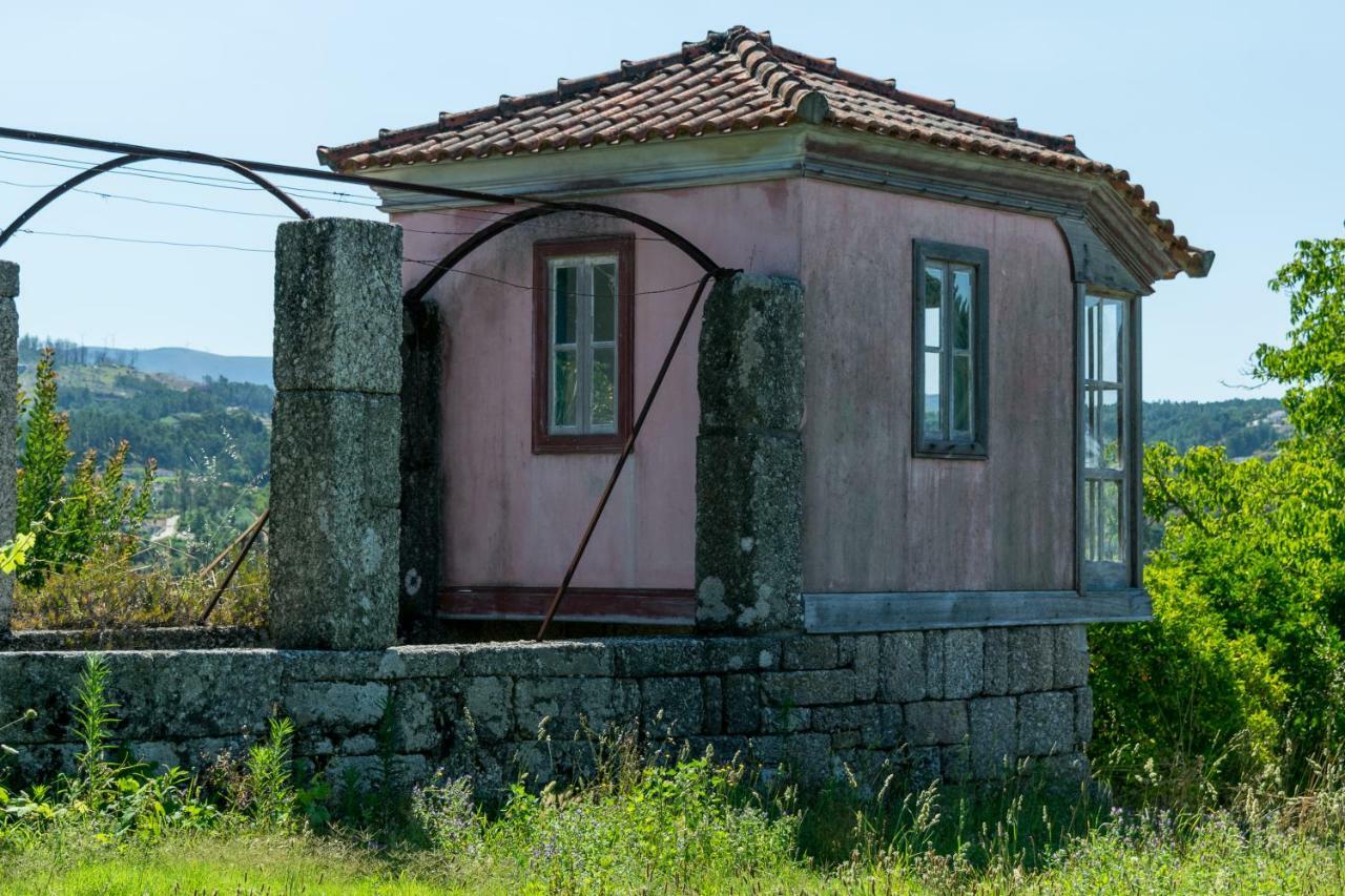 Vila Casa De Pascoaes Historical House Amarante Exteriér fotografie