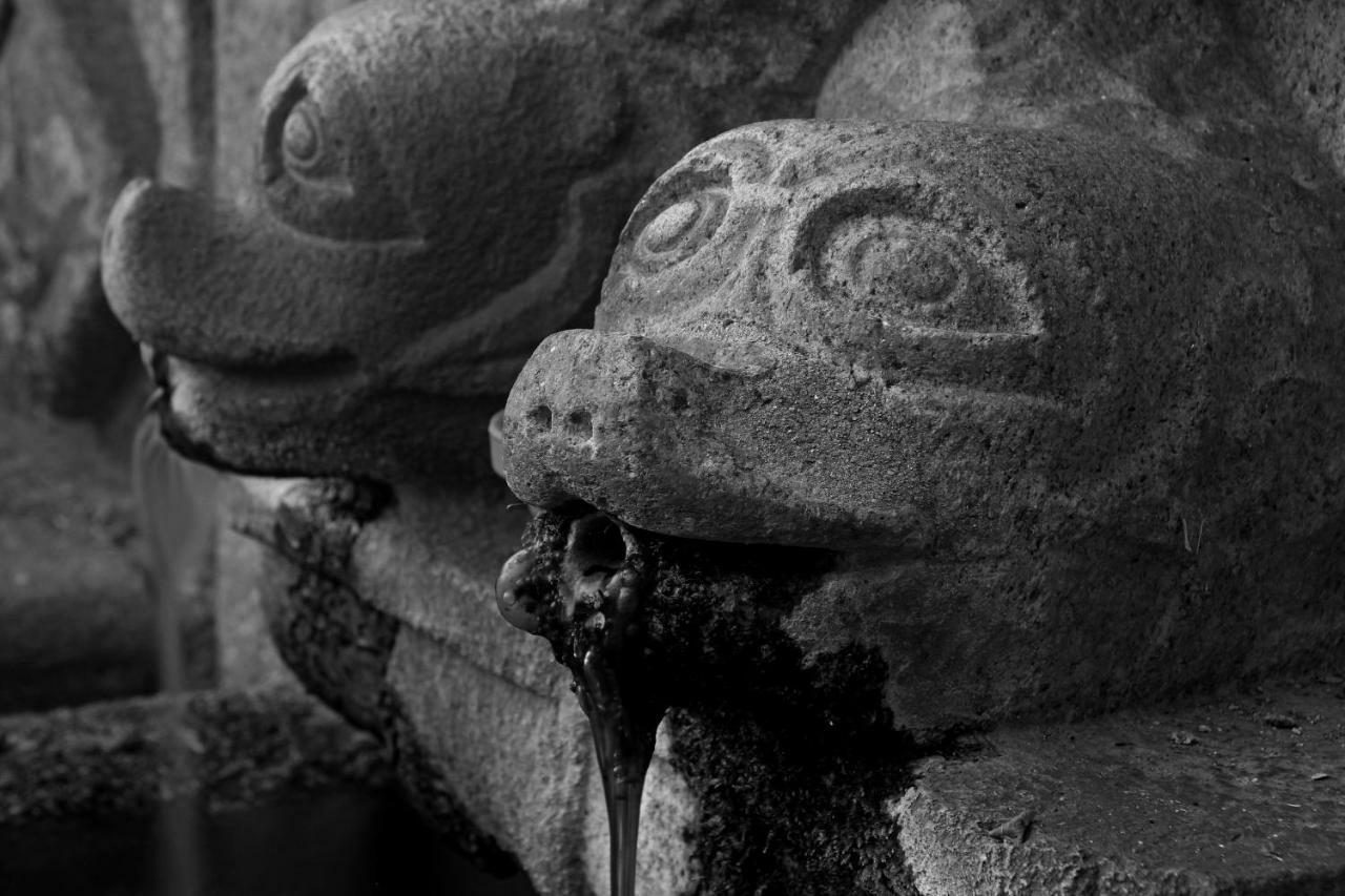 Vila Casa De Pascoaes Historical House Amarante Exteriér fotografie